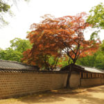 Seul pałac Changdeokugung Tajemniczy Ogród
