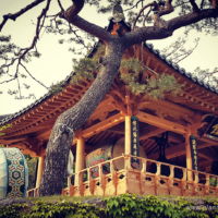 Seoul, Bongeunsa Temple