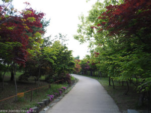 Korea Południowa, South Korea, Daejeon, Hanbat Arboretum