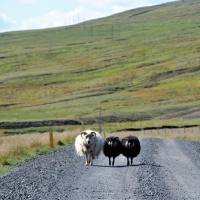Iceland, road no. 94