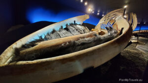 Islandia, Husavik, Whale Museum, Muzeum Wielorybów