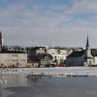 Jezioro Tjornin, Reykjavik, Islandia