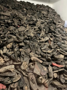 visit to Auschwitz Birkenau