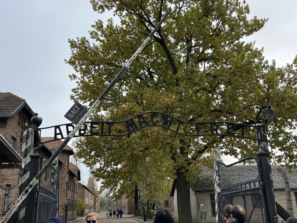 visit to Auschwitz Birkenau