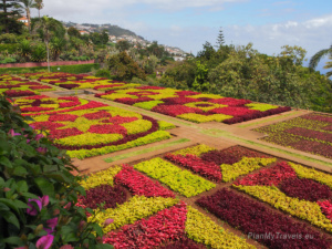 Ogród Botaniczny Funchal Madera