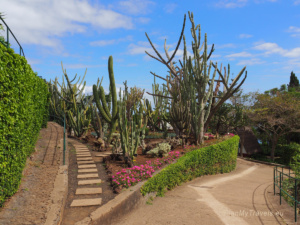 Ogród Botaniczny Funchal Madera