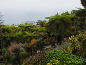 Monte Palace Tropical Garden, Funchal, Madera