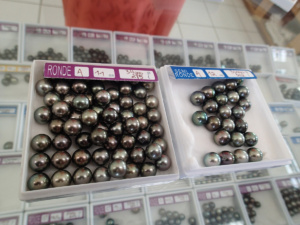 czarne perły z wyspy Rangiroa