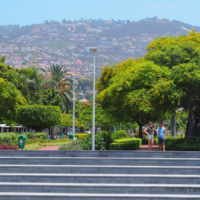 Funchal Marina