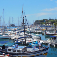Funchal Marina