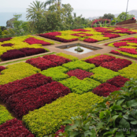 Jardim Botanico – Botanical Garden