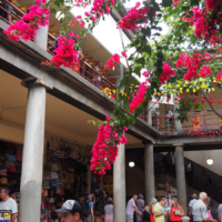 Mercado dos Lavradores