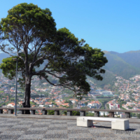 Miraduro Pico dos Barcelos Madeira