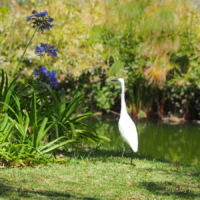 Santa Catharina Park Funchal