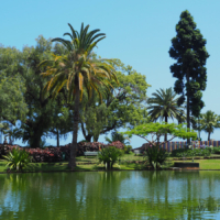 Santa Catharina Park Funchal