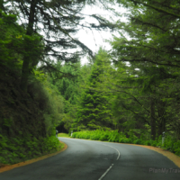 on the way to Riberio Frio_Madeira