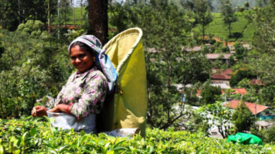 Sri Lanka PlanMyTravels.eu