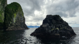 Bird Cliffs of Vestmanna