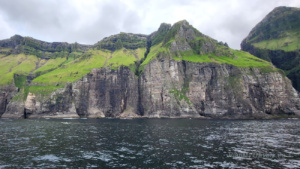 Bird Cliffs of Vestmanna