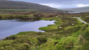 Jezioro Toftavatn, Runavik