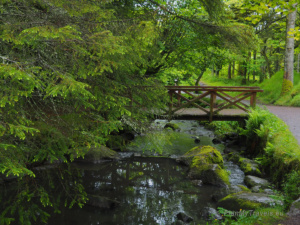 Viðarlundin Park Tórshavn