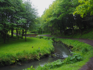 Viðarlundin Park Tórshavn