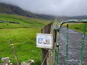 co warto wiedzieć o Farojach