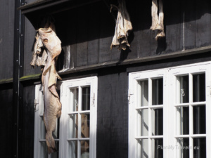 Faroe Islands Traditional food preservation methods 