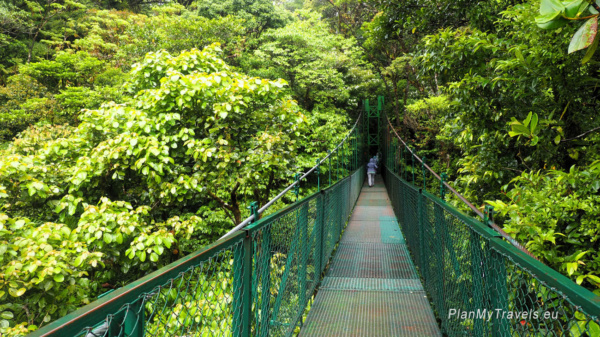 Kostaryka Las Mglisty Monteverde