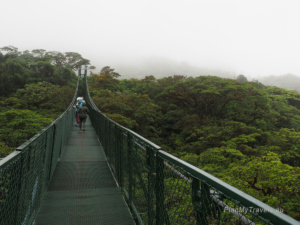 Kostaryka, Monteverde, wiszące mosty w Selvatura Park