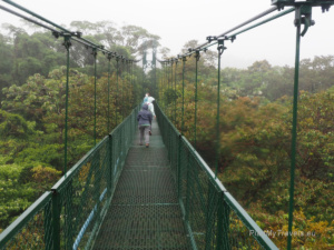 Kostaryka, Monteverde, wiszące mosty w Selvatura Park