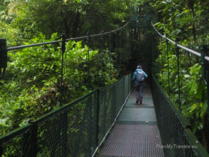 Kostaryka, Monteverde, wiszące mosty w Selvatura Park
