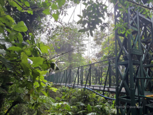 Kostaryka, Monteverde, wiszące mosty w Selvatura Park