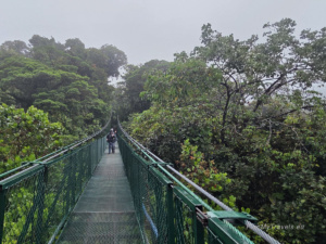Kostaryka, Monteverde, wiszące mosty w Selvatura Park