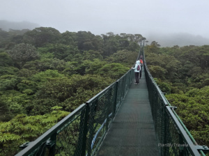 Kostaryka, Monteverde, wiszące mosty w Selvatura Park