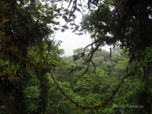 Kostaryka, Monteverde, wiszące mosty w Selvatura Park