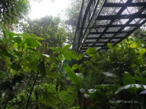 Las Mglisty MonteverdeLas Mglisty Monteverde