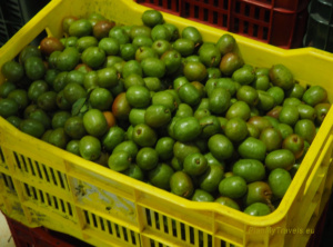 Mercado Central San José, Kostaryka