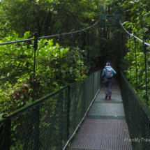 Photo Gallery from Costa Rica Photo Gallery from Costa Rica