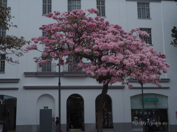Plaza de la Cultura, San José