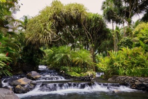 Costa Rica, San Juan - Poas Volcano, La Paz Waterfall and Coffee Tour