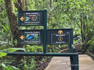 Kostaryka, Monteverde Selvatura Park - sanktuarium leniwców