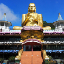 Sri Lanka – a land of tea, temples and wildlife Sri Lanka – a land of tea, temples and wildlife