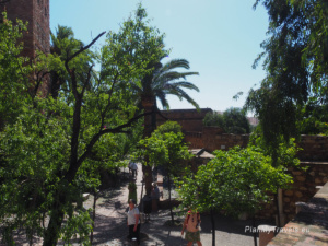 Alcazaba - zielone dziedzińce fortecy