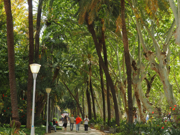 Parque de Málaga - egzotyczna roślinność i alejki spacerowe