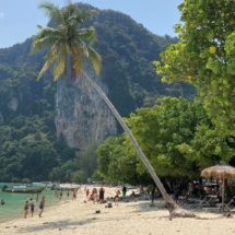 Thailand: nature, culture, and beach!