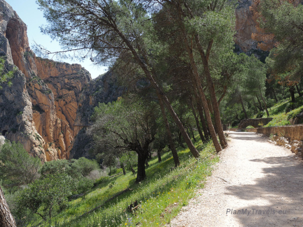 Caminito del Rey dojscie droga przez las