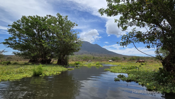View of wetlands and Concepción Volcano on Ometepe Island, Nicaragua