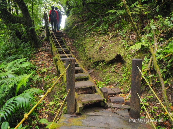 Wooden stairs on the Puma Trail winding through the cloud forest of Mombacho Volcano Nature Reserve, Nicaragua Wooden stairs on the Puma Trail winding through the cloud forest of Mombacho Volcano Nature Reserve, Nicaragua