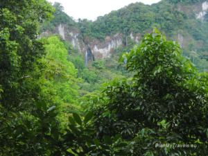 View of Arcoiris Waterfall surrounded by tropical rainforest in Peñas Blancas Nature Reserve, Nicaragua